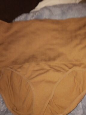 Gloria Vanderbilt Shapewear Seamless High-Rise Briefs in Camel 3xl